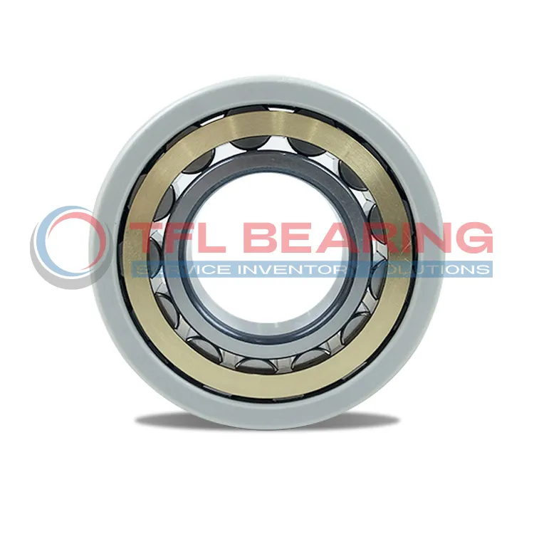 NKE Electrically Insulated Single Row Cylindrical Roller Bearing NU313-E-M6-C4-SQ77